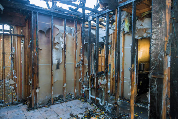 Professional Fire Damage Removal technician working in Southwest Greensburg, PA